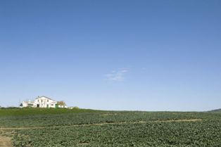 Fattoria di Vaira