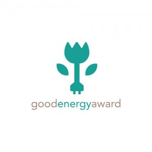 Good Energy Award 2013