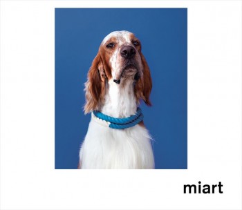 miart